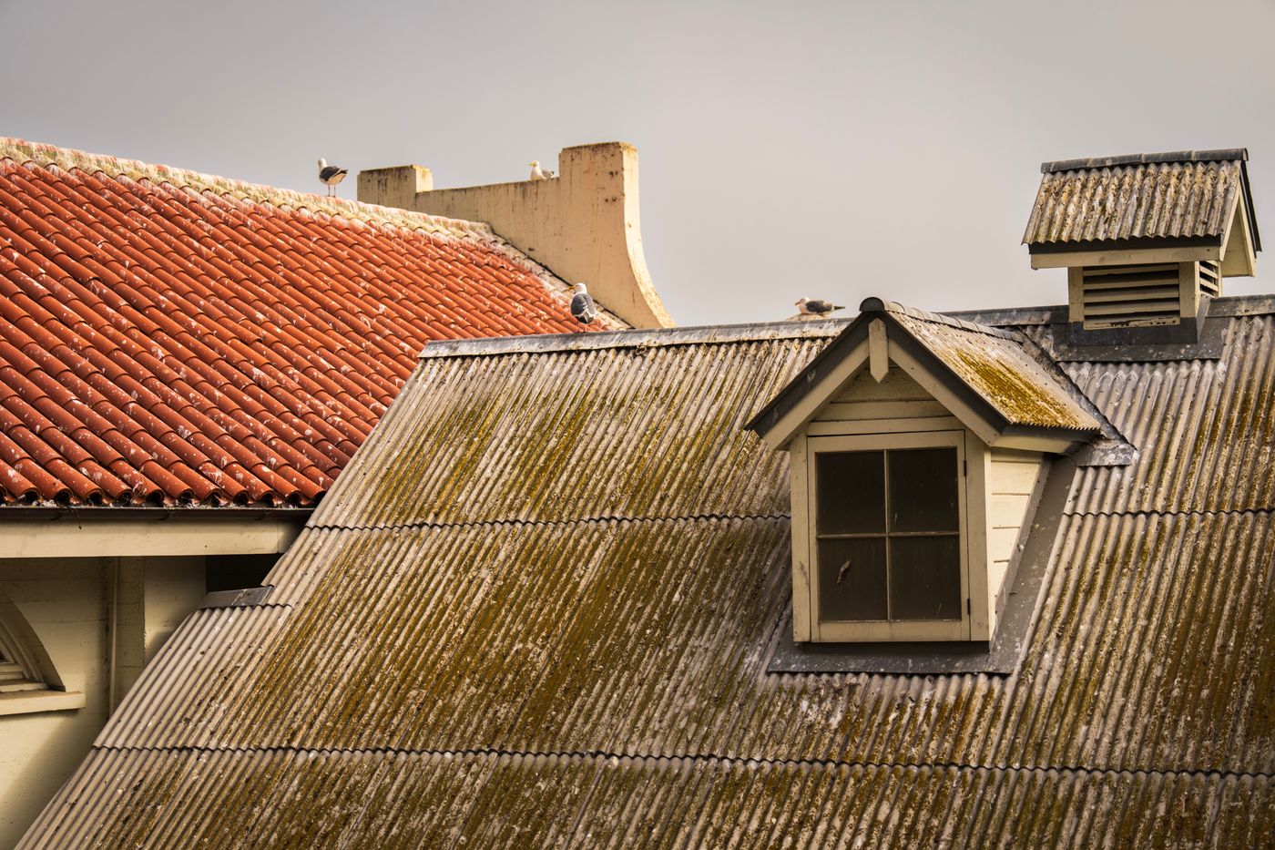 Moss and algae spread across a roof around a dormer