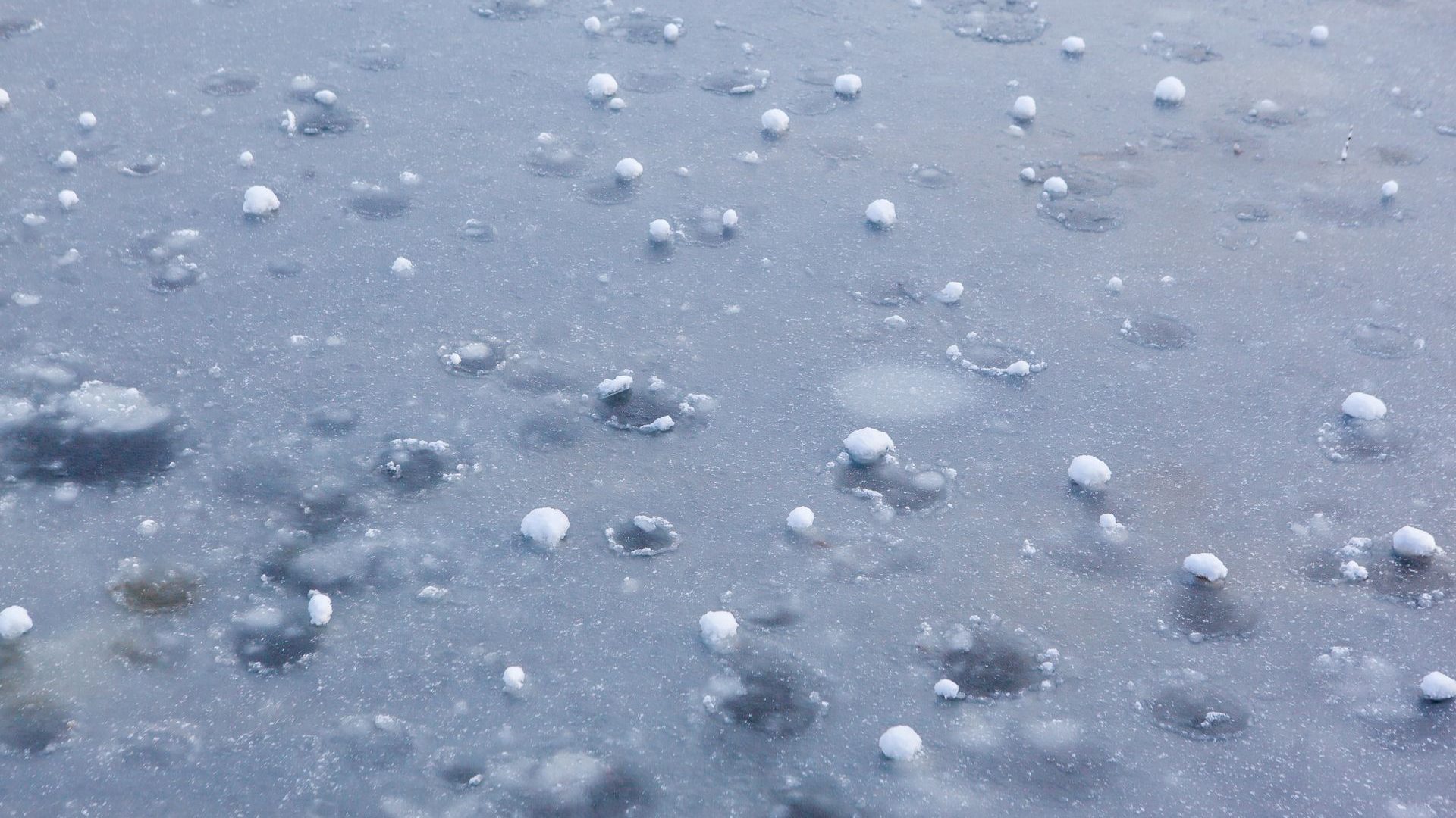 Hailstones scattered on wet pavement