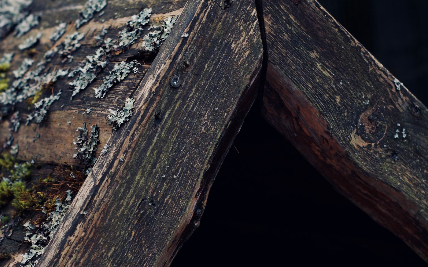Weathered roof timbers rotting, with lichen growing on the wood