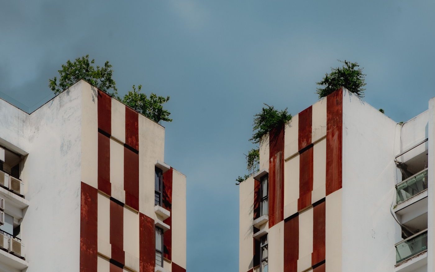 Plants growing on top of two apartment towers