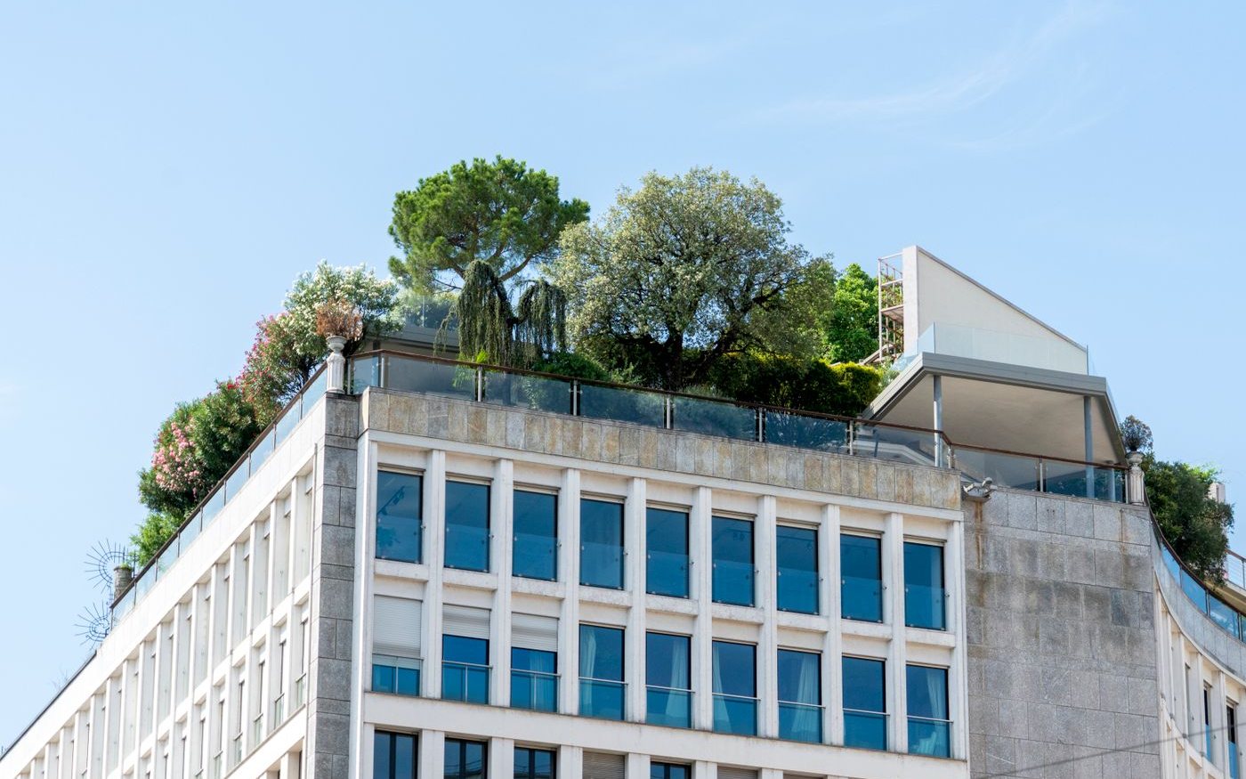 Trees and shrubs growing on the roof of an office building