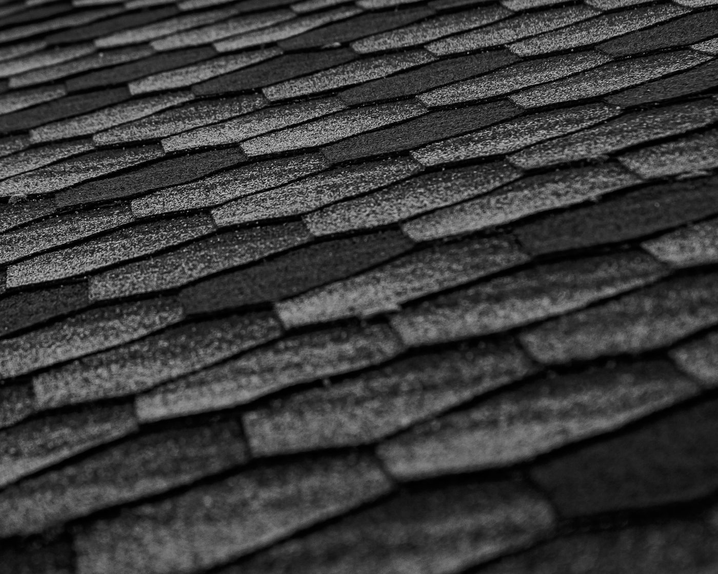 Rows of dark asphalt shingles, close up