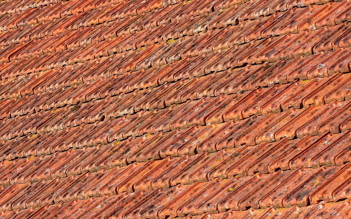 Sunlit terracotta tiles with moss in the joints